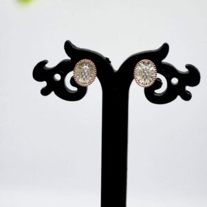 Regalia Radiance – Dual-Tone 925 Silver Earrings with South Screw