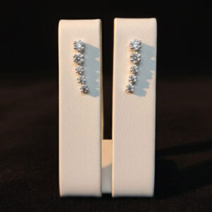 Celestia Curve – 925 Silver South Screw Earrings Silver colour